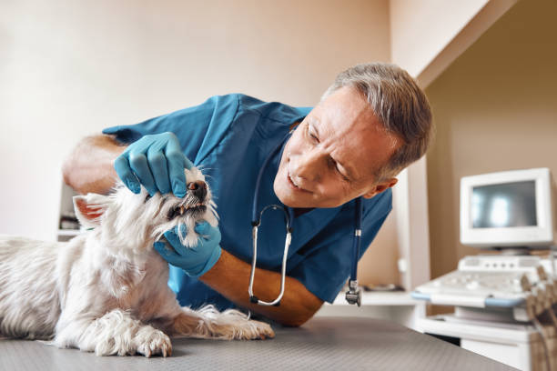 Best Emergency Wisdom Teeth Removal in Cairo, GA
